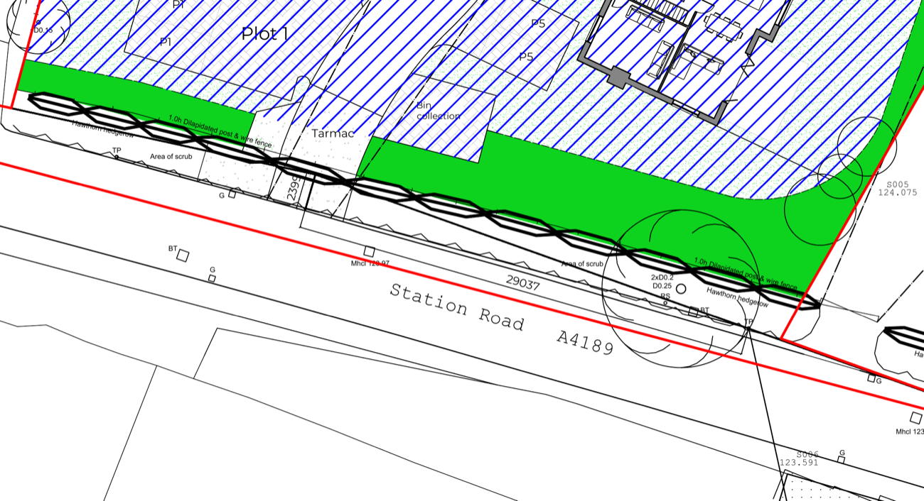 Detail of the applicant's site plan showing two telegraph poles marked TP in the frontage hedgerow, one west and one east of the site access, with the hawthorn hedgerow, a BT manhole and a road sign